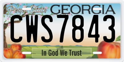 GA license plate CWS7843