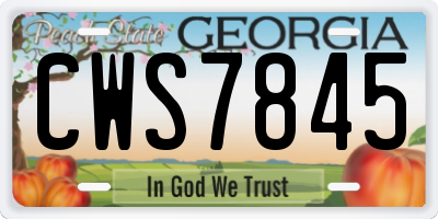 GA license plate CWS7845
