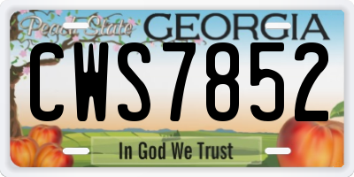 GA license plate CWS7852