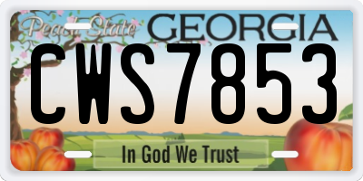GA license plate CWS7853