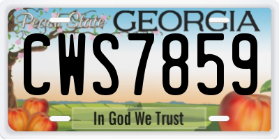 GA license plate CWS7859