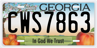 GA license plate CWS7863
