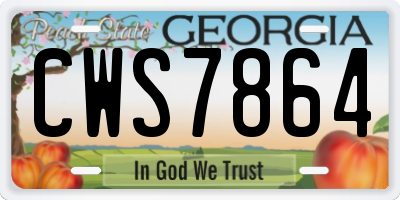 GA license plate CWS7864