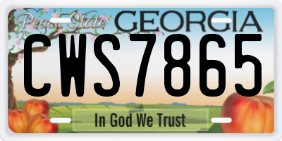 GA license plate CWS7865