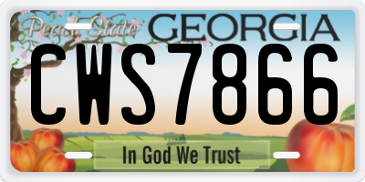 GA license plate CWS7866