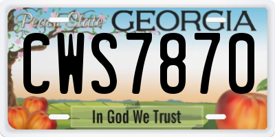 GA license plate CWS7870