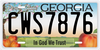 GA license plate CWS7876