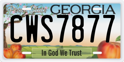 GA license plate CWS7877