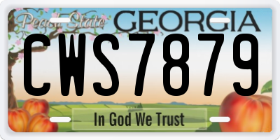 GA license plate CWS7879