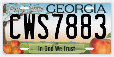 GA license plate CWS7883