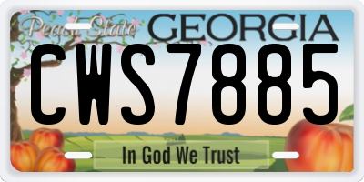 GA license plate CWS7885
