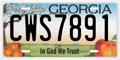 GA license plate CWS7891