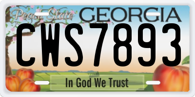 GA license plate CWS7893