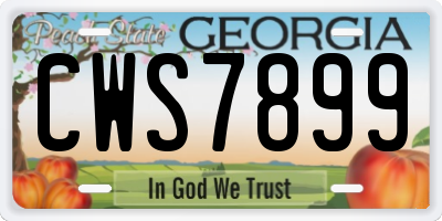 GA license plate CWS7899