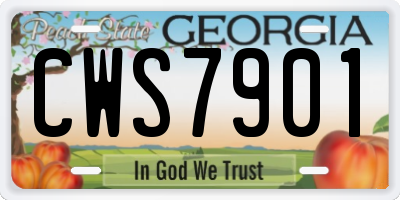 GA license plate CWS7901