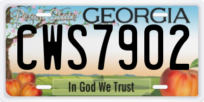 GA license plate CWS7902