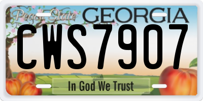 GA license plate CWS7907