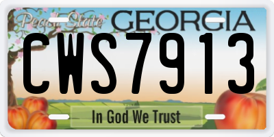 GA license plate CWS7913