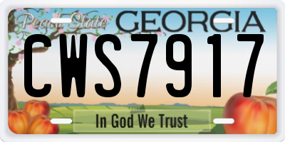GA license plate CWS7917