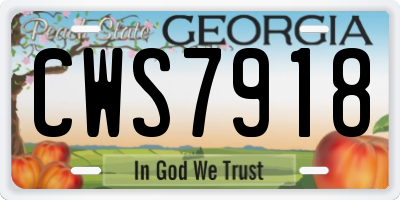 GA license plate CWS7918