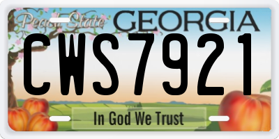 GA license plate CWS7921