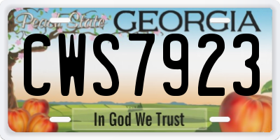 GA license plate CWS7923