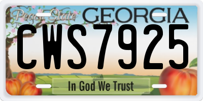 GA license plate CWS7925