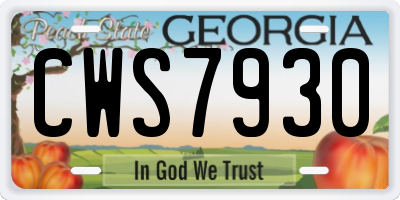 GA license plate CWS7930