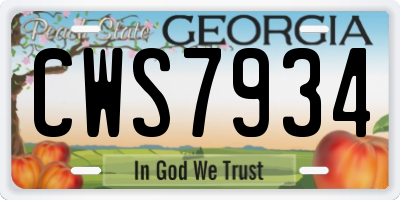 GA license plate CWS7934