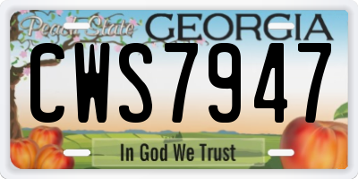 GA license plate CWS7947