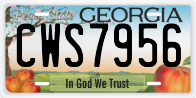 GA license plate CWS7956