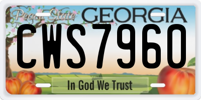 GA license plate CWS7960