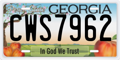 GA license plate CWS7962