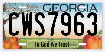GA license plate CWS7963