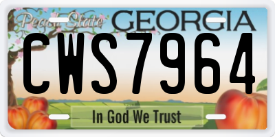 GA license plate CWS7964