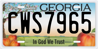 GA license plate CWS7965