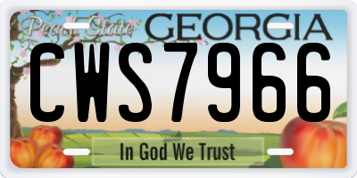 GA license plate CWS7966