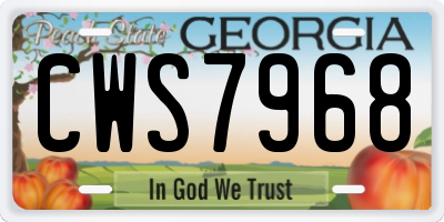 GA license plate CWS7968