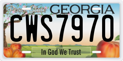 GA license plate CWS7970