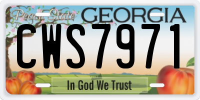 GA license plate CWS7971