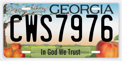 GA license plate CWS7976