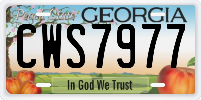 GA license plate CWS7977