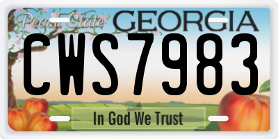GA license plate CWS7983