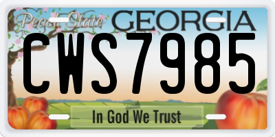 GA license plate CWS7985