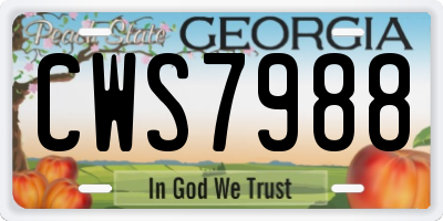GA license plate CWS7988