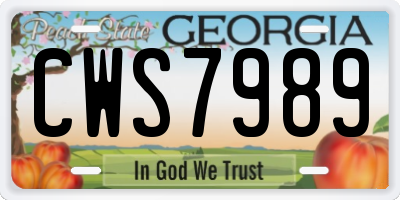 GA license plate CWS7989