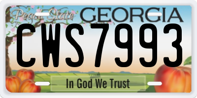 GA license plate CWS7993