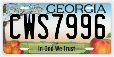 GA license plate CWS7996