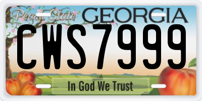 GA license plate CWS7999