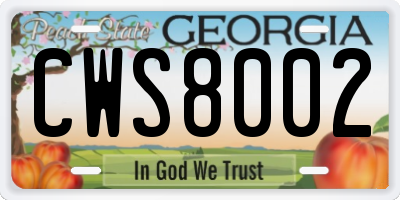GA license plate CWS8002